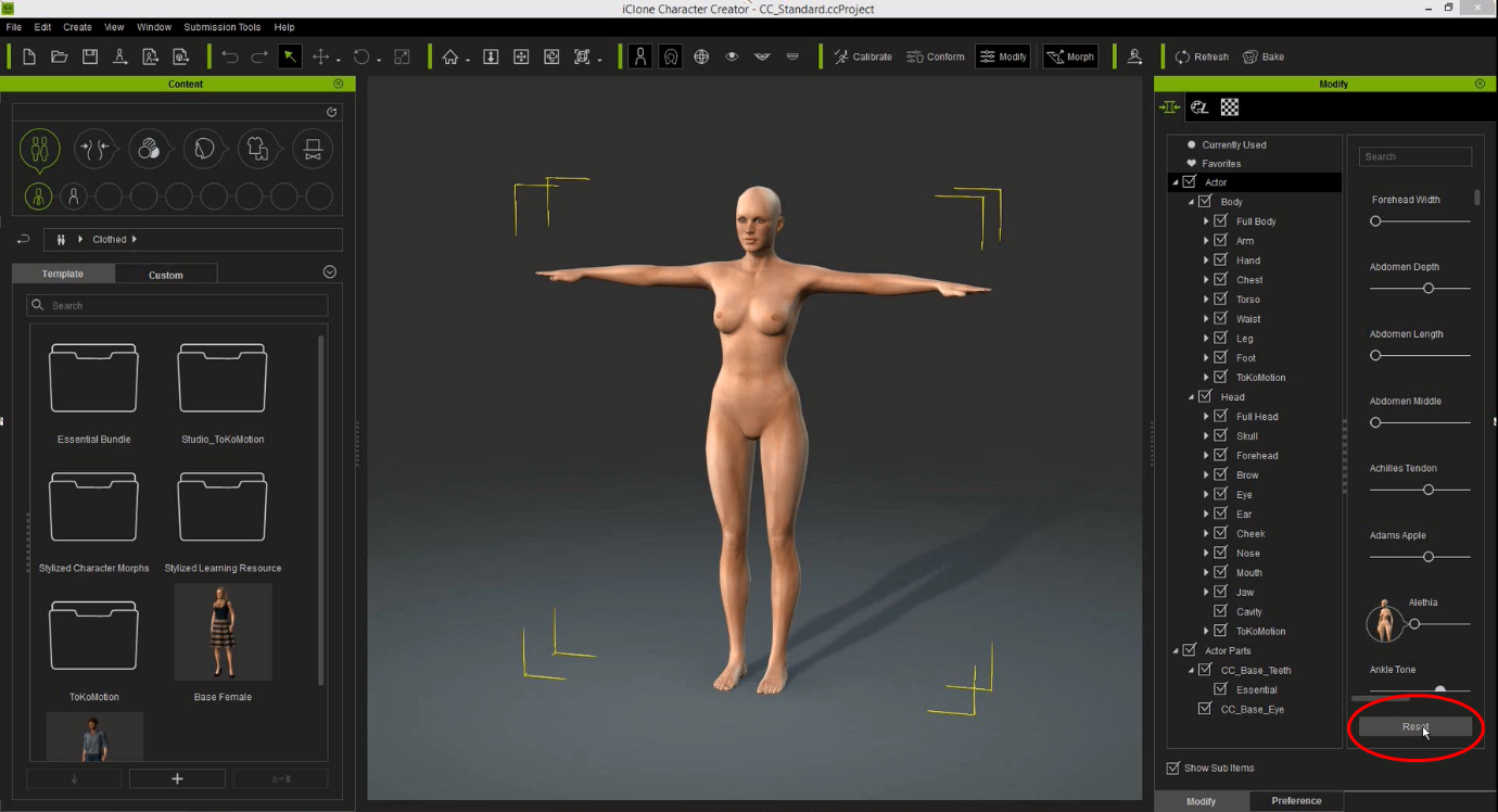 Before starting the creation of the character make sure you have setup CC c...