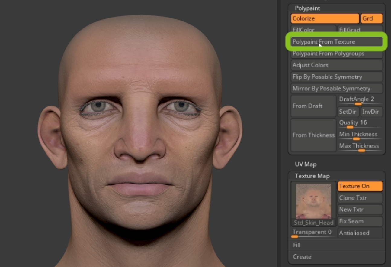 Easy Facial Rig in ZBrush with Face Tools (2/4) Detailing & Polypaint