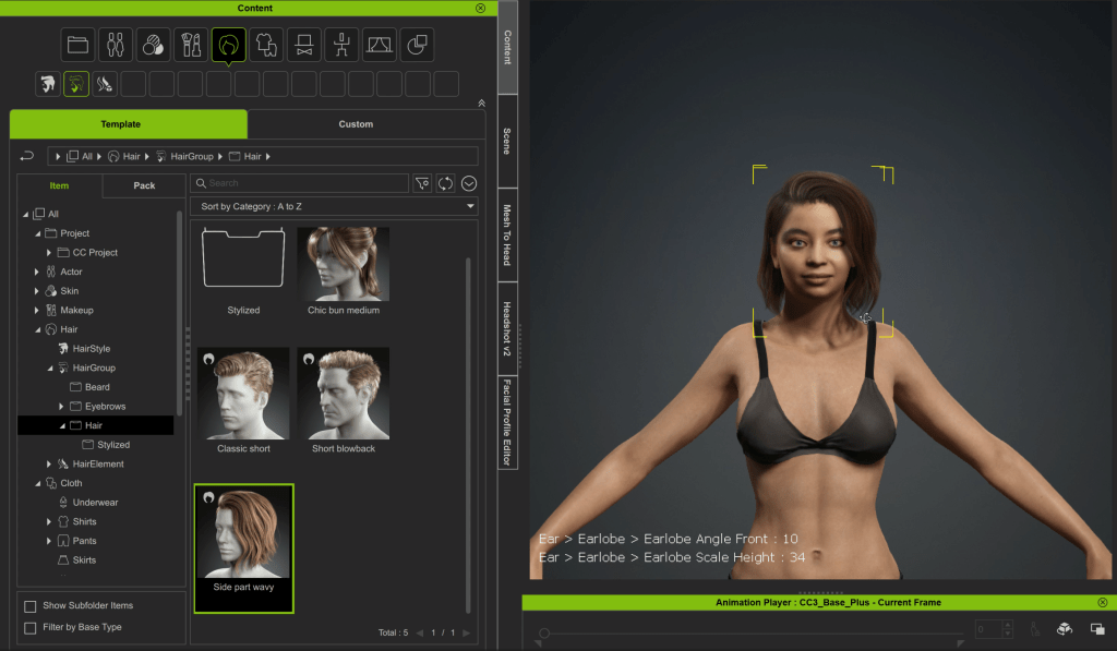 Character Creator offers a wide range of elements such as hair, eyebrows, wrinkles, and normal maps to enhance facial detailing