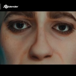 Researcher Thies shares complete character workflow and honest review with CC5, iClone and Blender. He uses the latest Video Mocap Plugin and get the animation to Blender for final rendering.