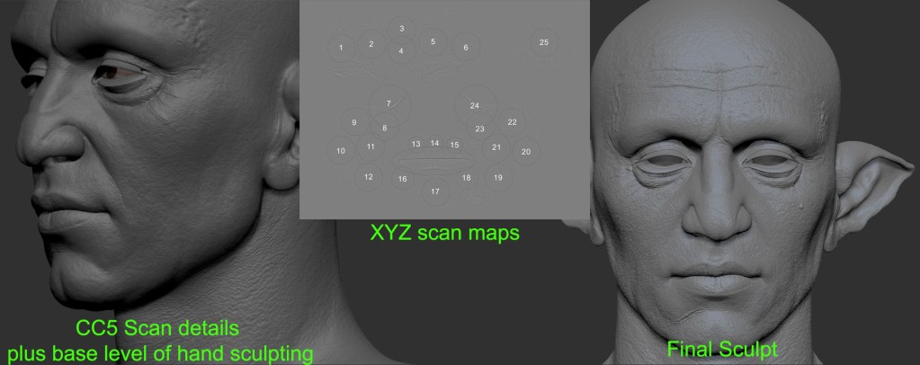 For the pore enhancement I used Texturing XYZ maps to hand sculpt some more details.