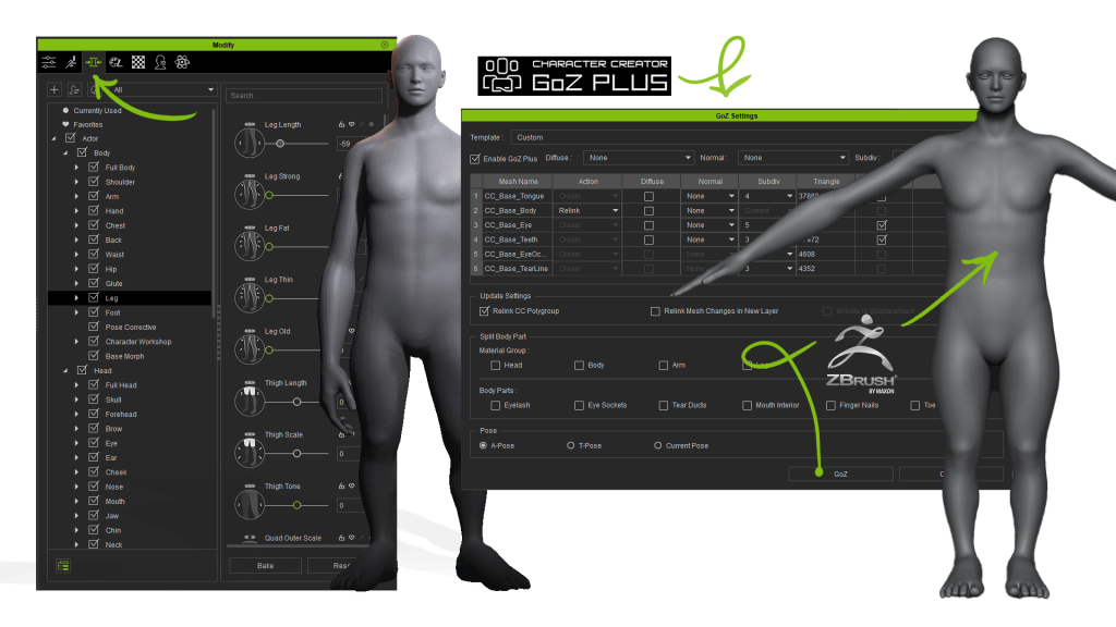 Morph the character with Proportion Editor in Character Creator 5 (CC5) then send to ZBrush for further sculpting via GoZ plus. 