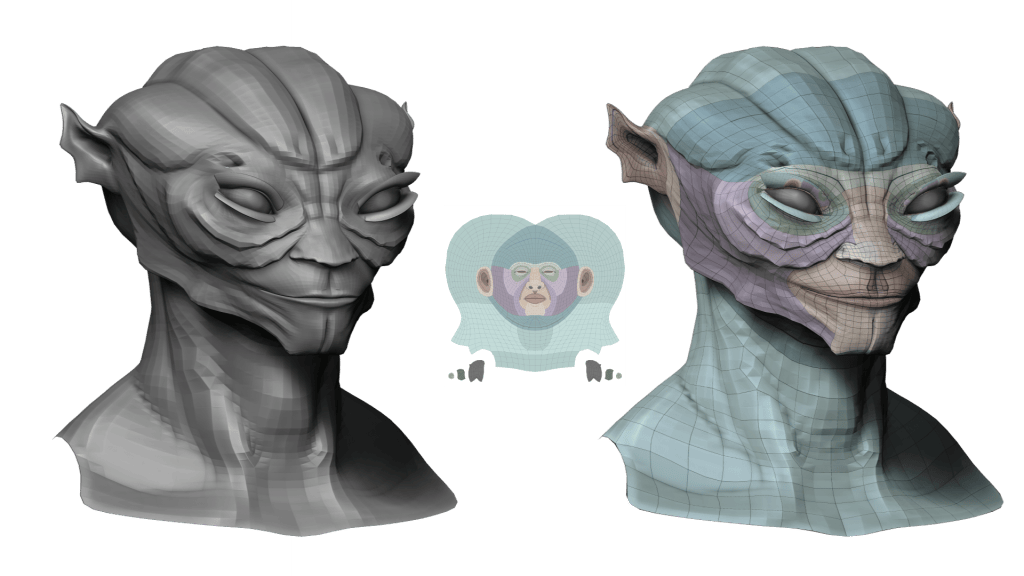  Load CC5 reference texture to visualize the deformation regions in real-time