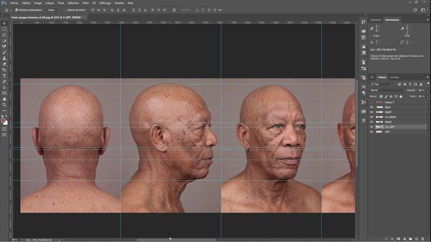  The generated source set. Five views were created, but PhiBix uses four: front, one profile, back, and the opposite profile