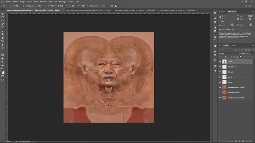 Manual under-chin repair. A frontal photograph is warped and aligned while PhiBix alternates between the photo and the diffuse map. 